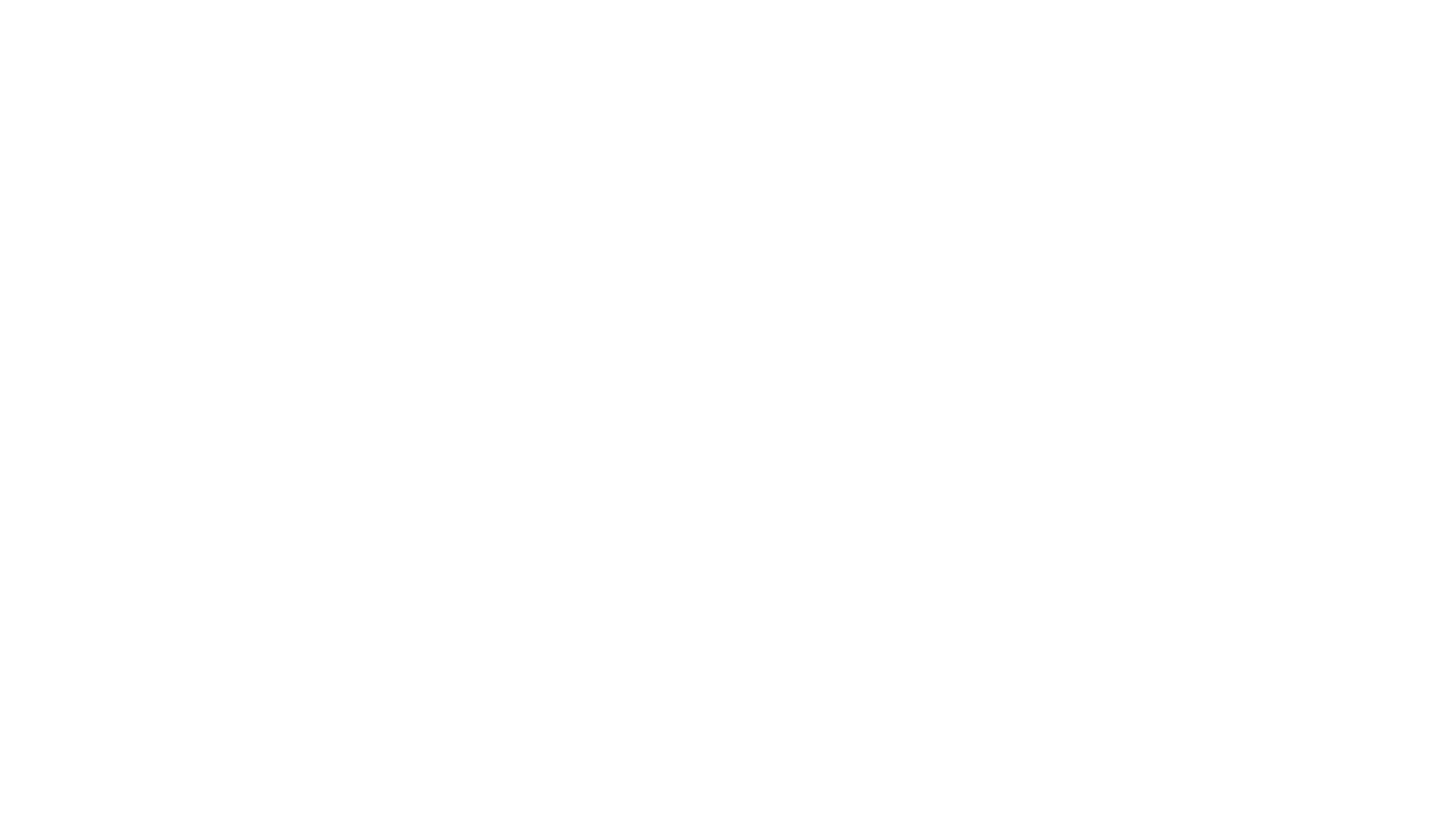 SNZ logo